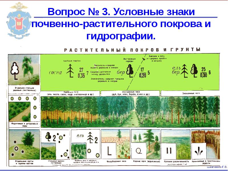 Вопрос № 3. Условные знаки почвенно-растительного покрова и гидрографии. Вопрос № 3. Условные знаки почвенно-растительного покрова и гидрографии.