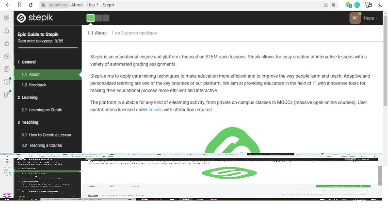 Stepik управление проектами