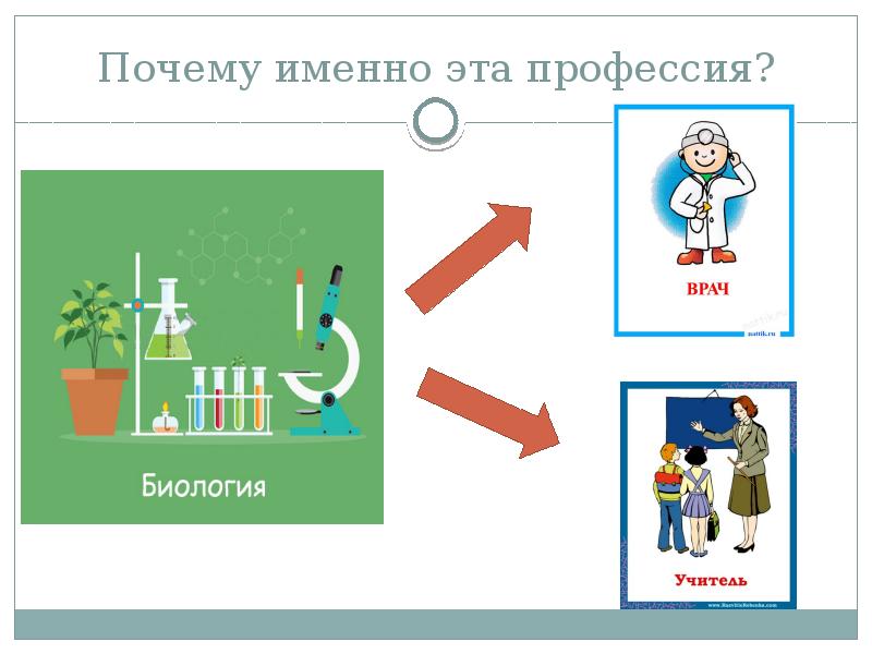 Почему именно 3. Именно эту профессию.