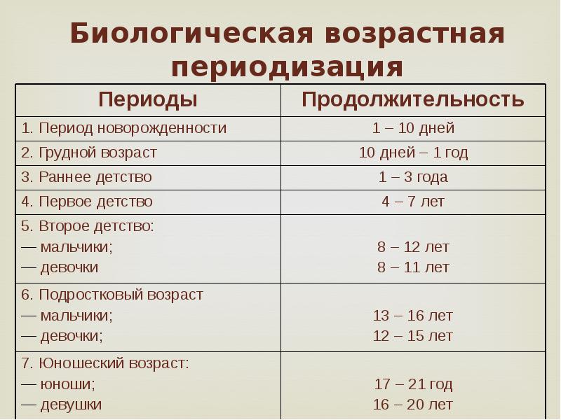 Презентация возрастные периоды