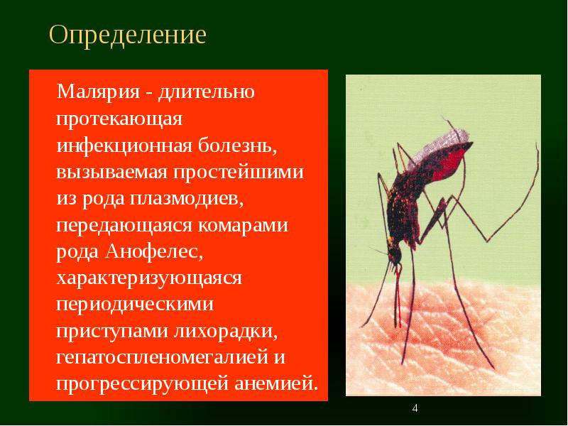 Презентация по инфекционным болезням малярия