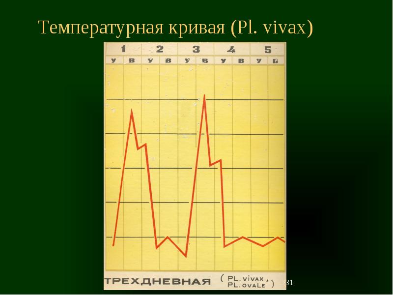 Температурные кривые. Характер температурной Кривой при малярии. Температурная кривая при малярии 4 дневной. Температурный лист трехдневной малярии. Температурная кривая при малярии 3 дневной.