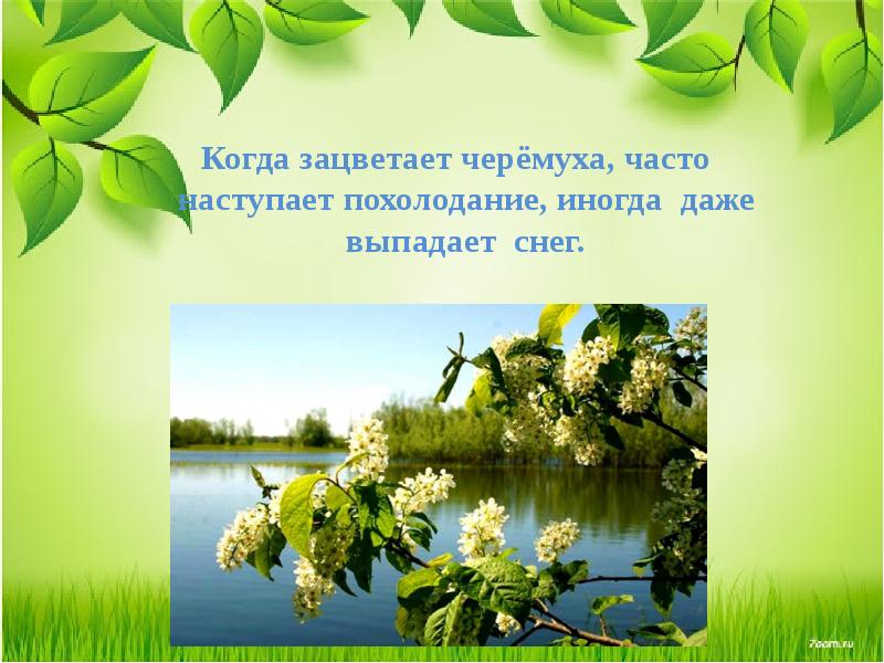 Май весну завершает лето начинает 1 класс окружающий мир 21 век презентация