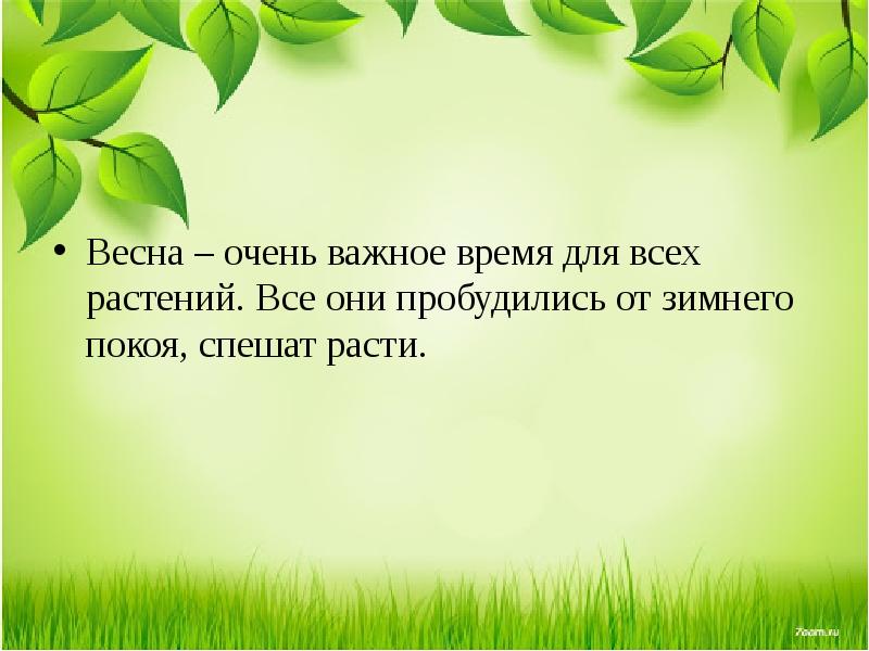 Презентация 1 класс май весну завершает лето начинает