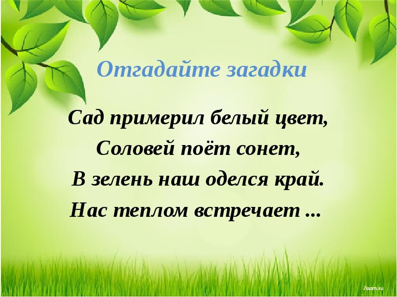 Презентация 1 класс май весну завершает лето начинает