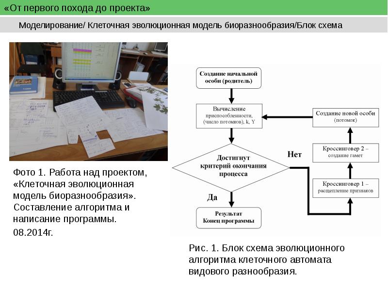 Проанализируйте и прокомментируйте алгоритм работы над учебным проектом