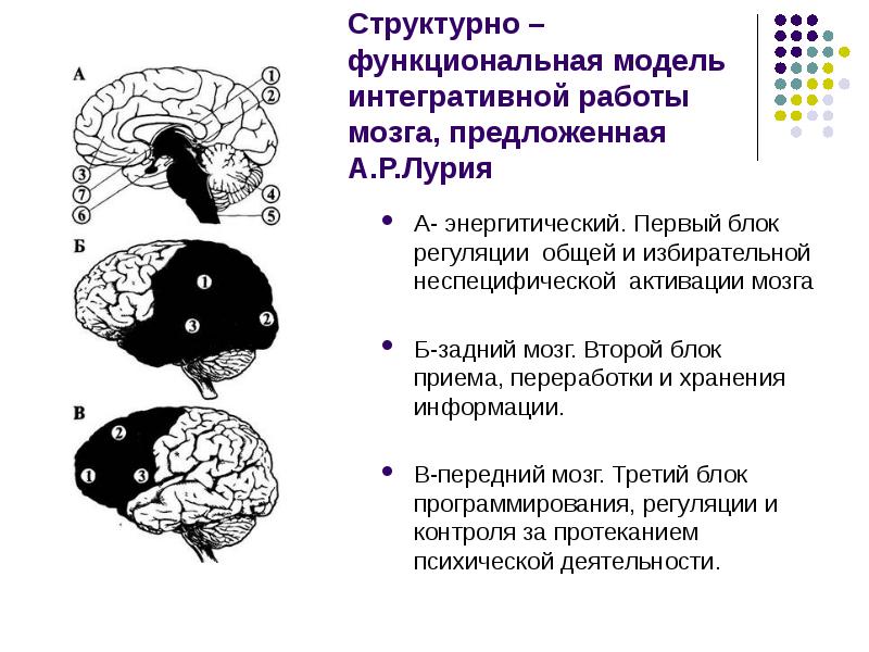 Блок приема переработки и хранения экстероцептивной информации презентация