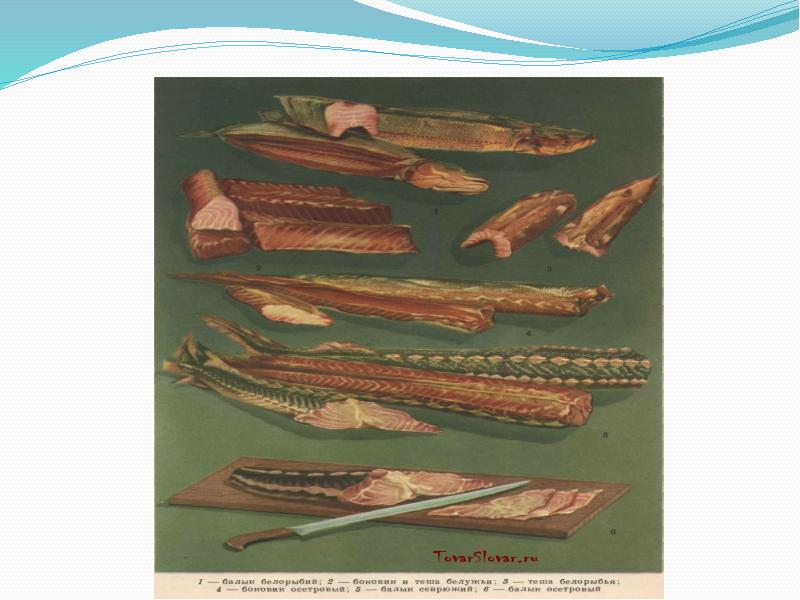 Балычные изделия. Балычные изделия получают из. Балычные изделия ассортимент. Балычные изделия получают из. Вяленые балычные изделия.