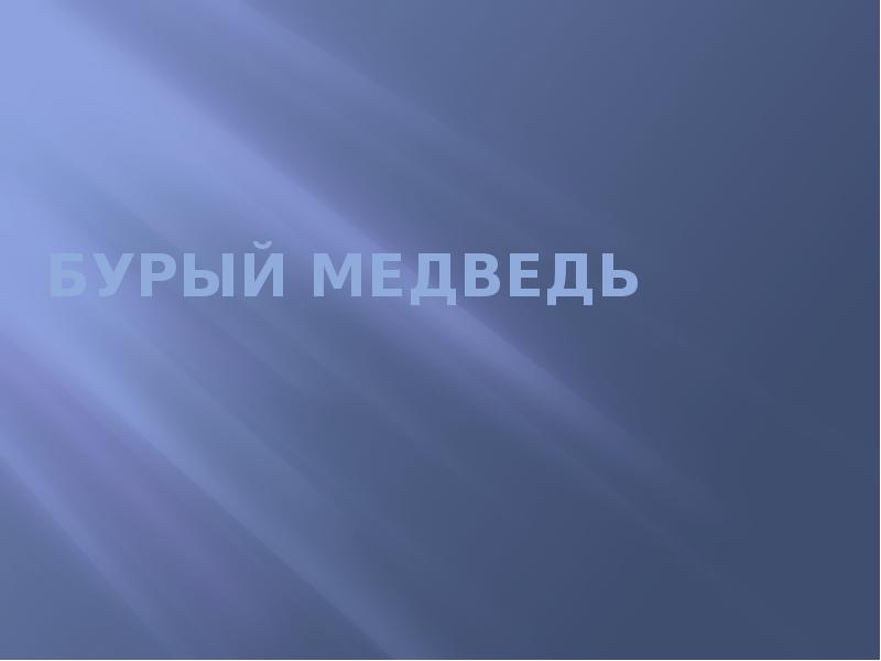 Проект на тему бурый медведь