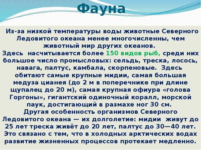 Всемирный день океанов презентация