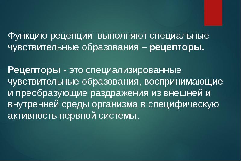 Периферическое образование воспринимающее и частично. Чувствительное образование воспринимающее раздражение. Чувствительное образование воспринимающее раздражение. Чувствительное образование воспринимающее раздражение. Функция сенсорных рецепторов — преобразование раздражителей в.