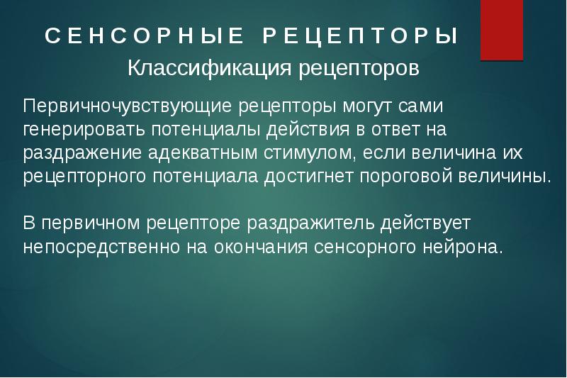 П а ц и е н т. Первичночувствующие рецепторы. Первичночувствующие и вторичночувствующие рецепторы. Первичные рецепторы. Первичночувствующие анализаторы.