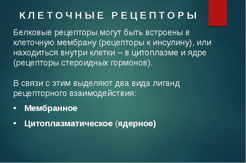 Осязание сложное чувство перечислите какие рецепторы работают при ощупывании например стола кратко