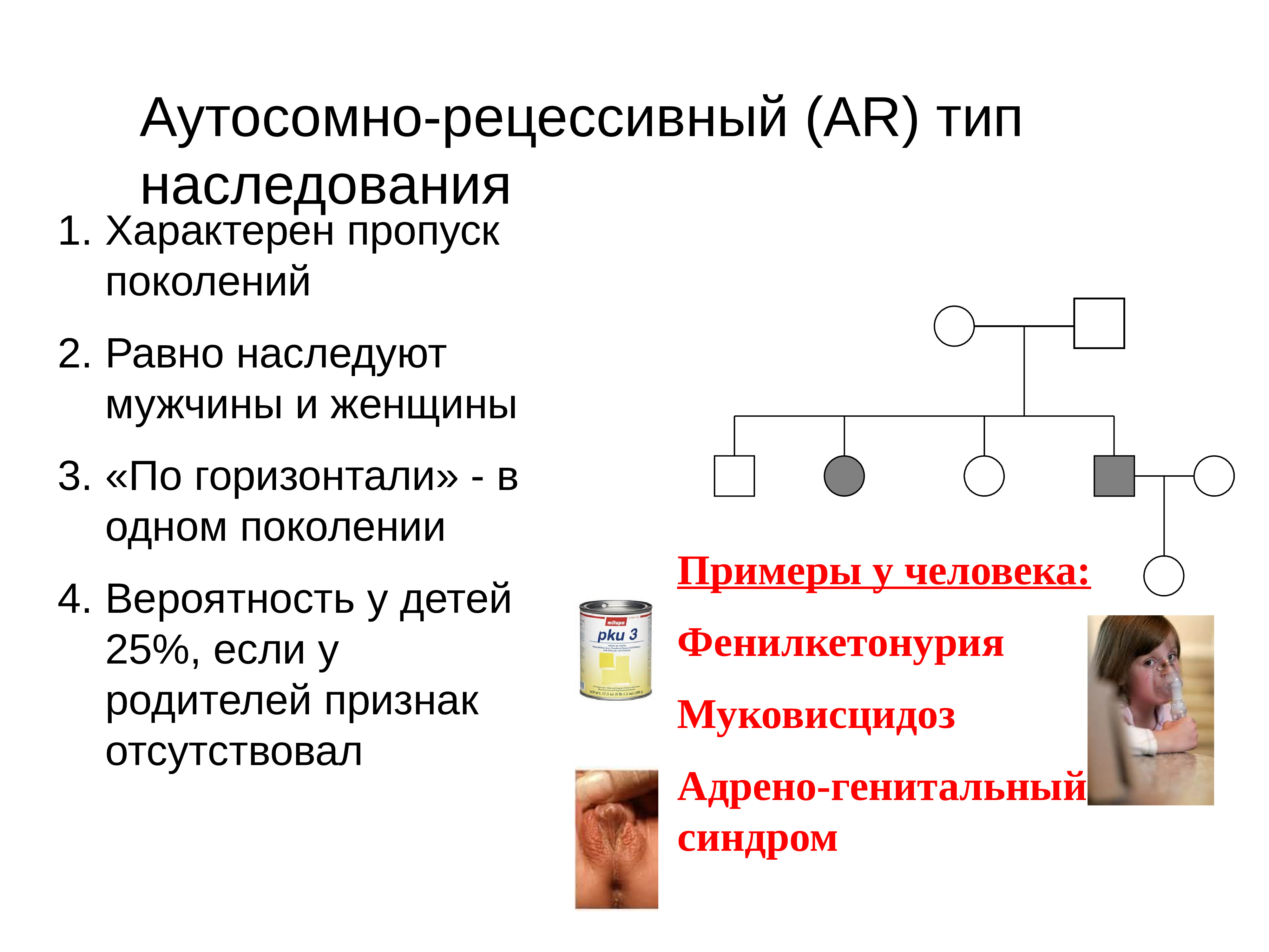 Человек как объект генетического исследования презентация