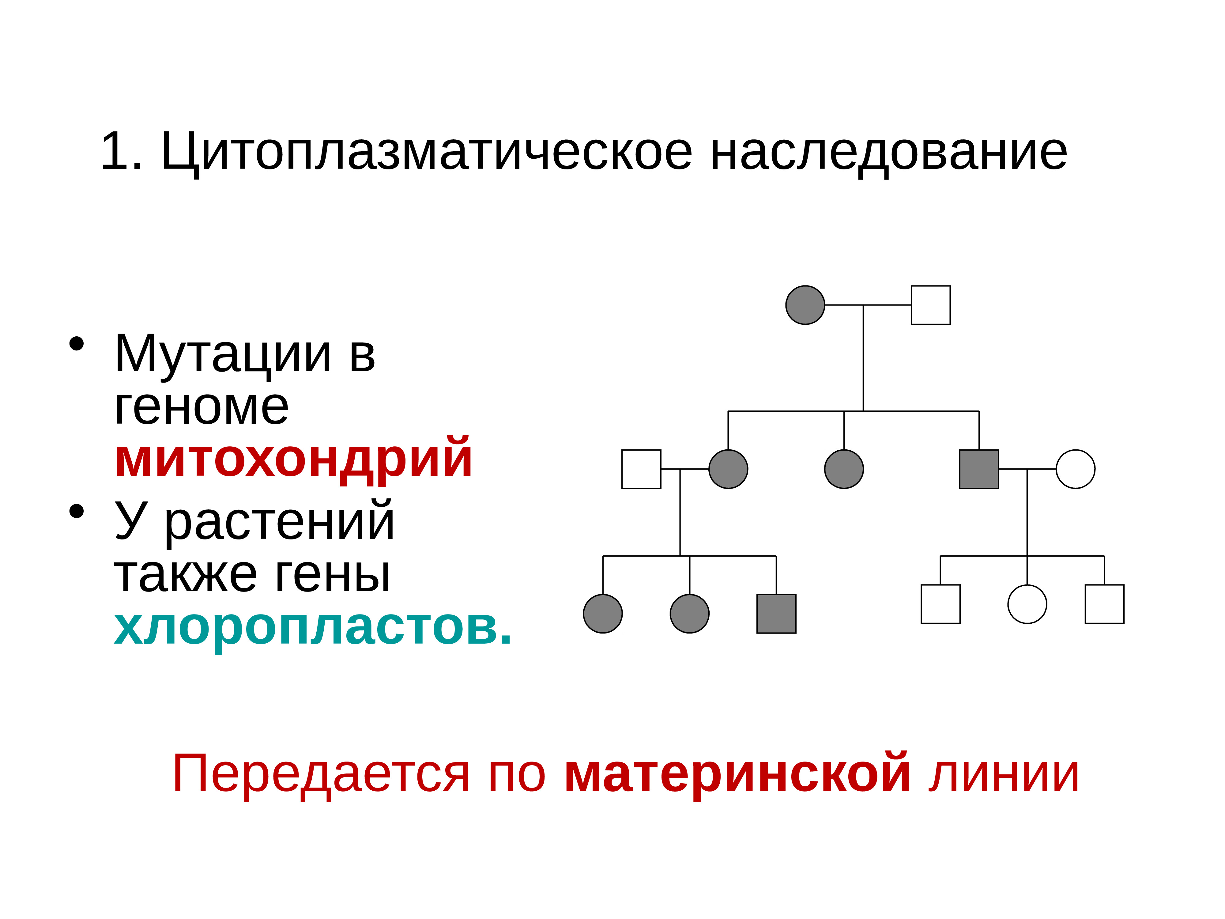 Дон генетика. Строение и функции молекулы днк. Структура и функции молекул днк. Дон генетика. Дон генетика.