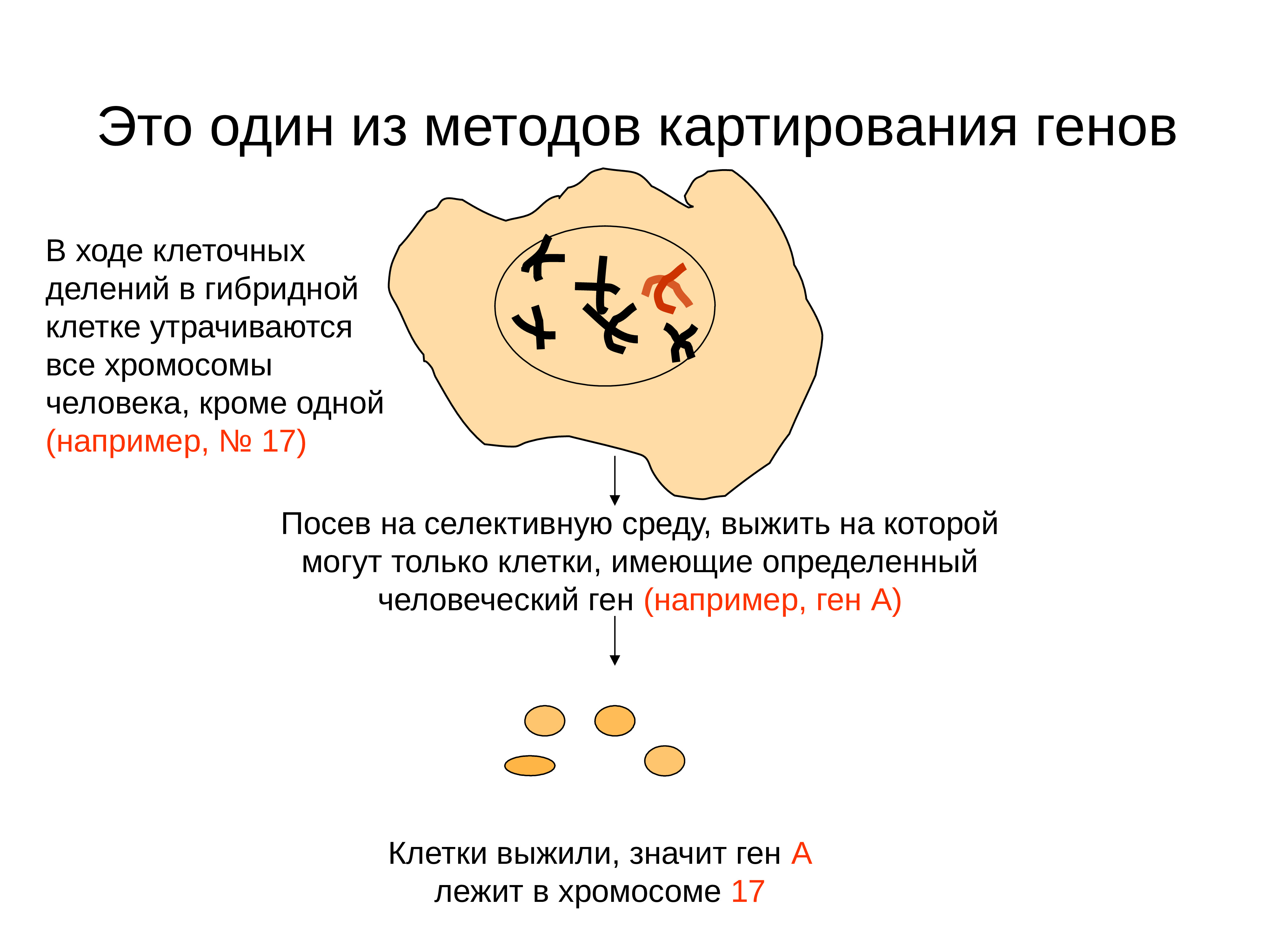 Мой ход на клетку 9