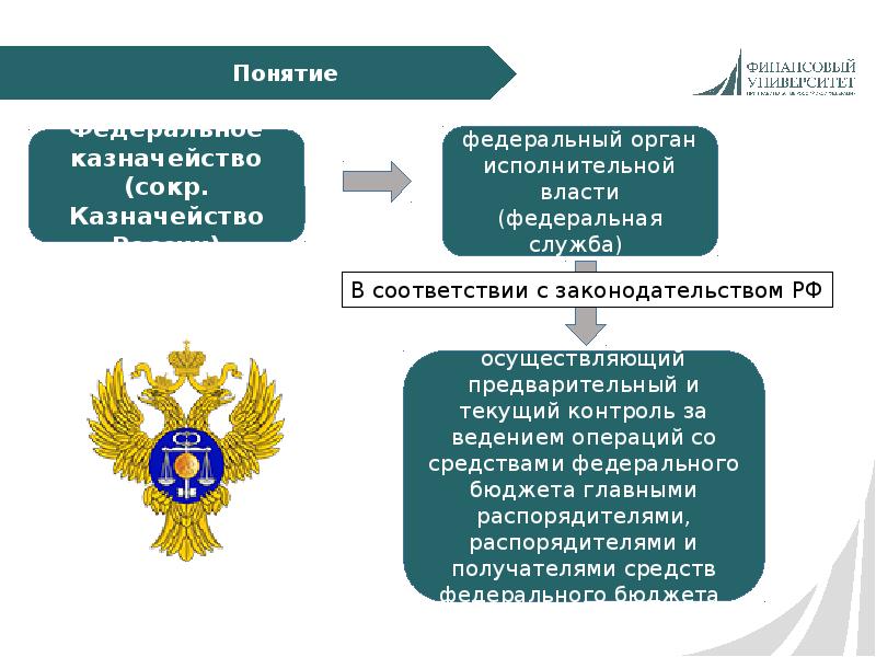 Федеральный проект социальное казначейство