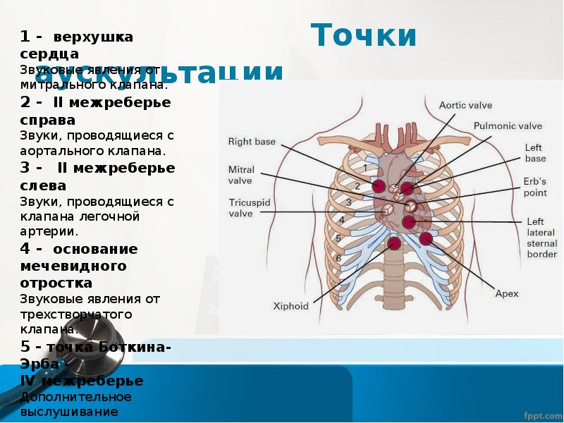 Аускультация сердца