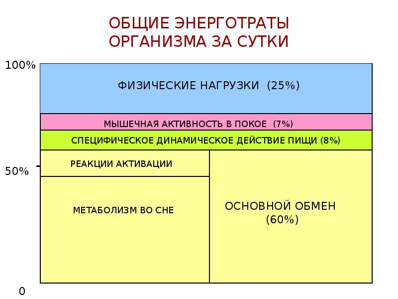 Обмен веществ при нагрузке. Энерготраты организма. Общие энерготраты. Энерготраты человека в покое. Суммарные энерготраты организма.