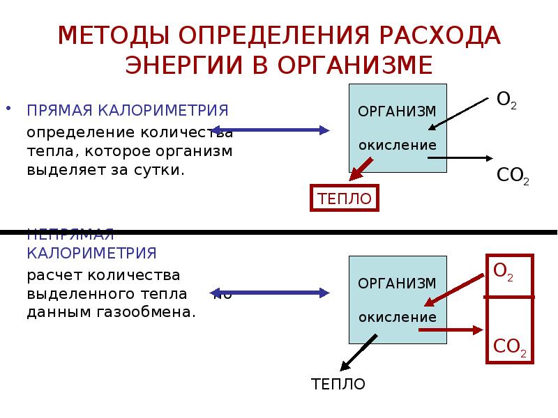 Виды обмена энергии