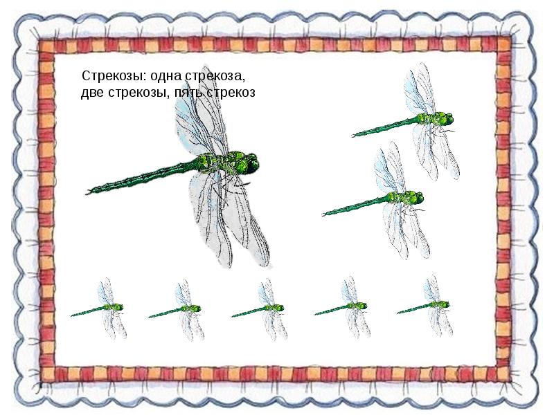 Стрекоза 1. Стрекоза задания. Стрекозы схема для урока. Упражнение Стрекоза. Стрекоза задания для детей.