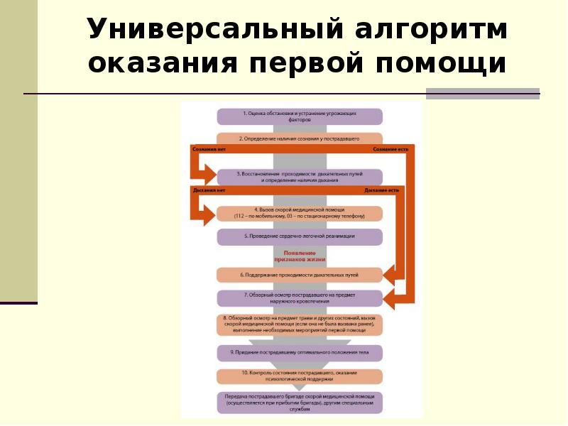 Первым в алгоритме первой помощи. Алгоритм оказания первой медицинской помощи схема. Алгоритм оказания 1 доврачебной помощи. Алгоритм при оказании первой помощи. Универсальная схема алгоритма оказания 1 помощи.