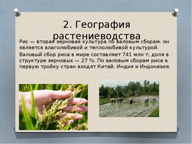 Презентация сельское хозяйство растениеводство 9 класс география полярная звезда