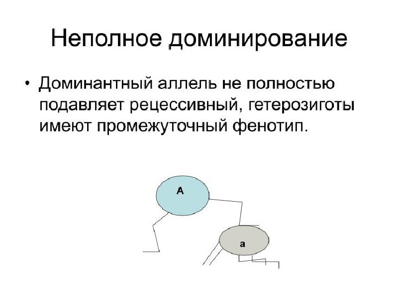 Доминантная аллея. Доминантный аллель это. Доминантные и рецессивные аллели. Доминантные и рецессивные гены. Доминантный ген аллель.