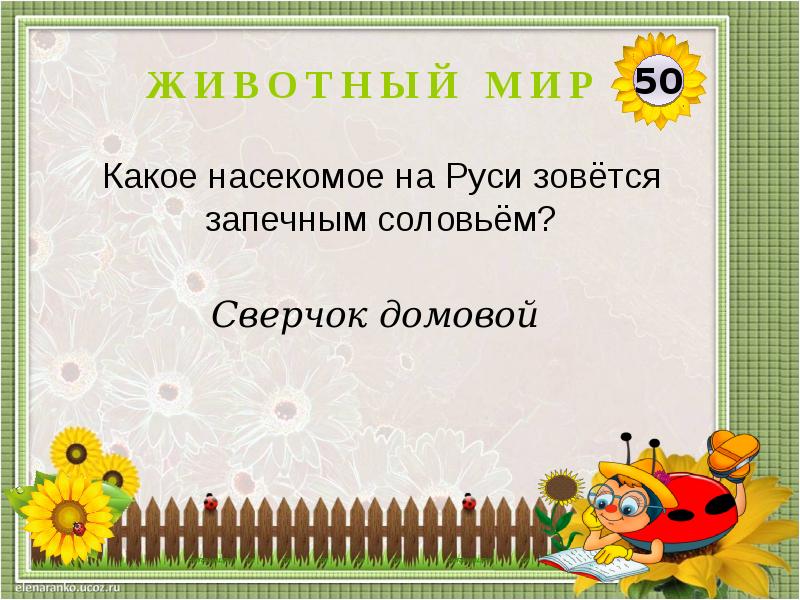 Презентация моя игра викторина