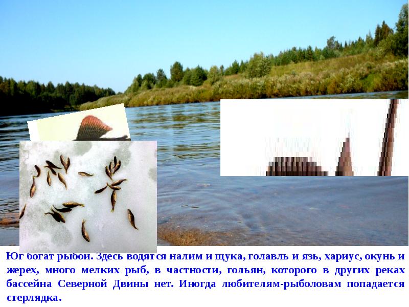 Юг был богат