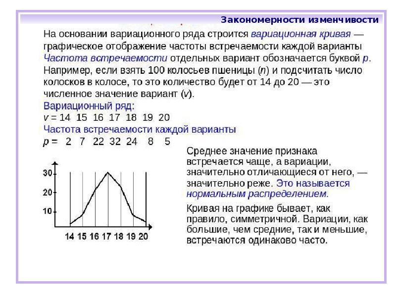 Закономерности изменчивости 10 класс презентация