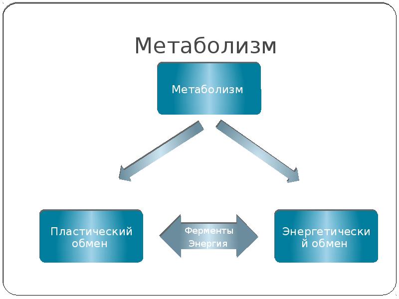 Пластический и энергетический обмен презентация