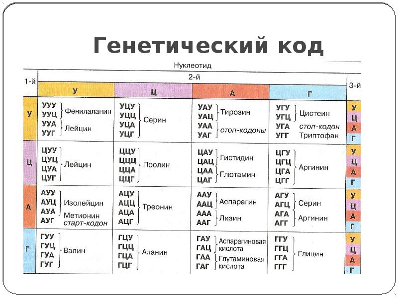 Генетический код презентация 10 класс биология