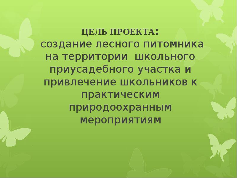 Виды лесных питомников презентация