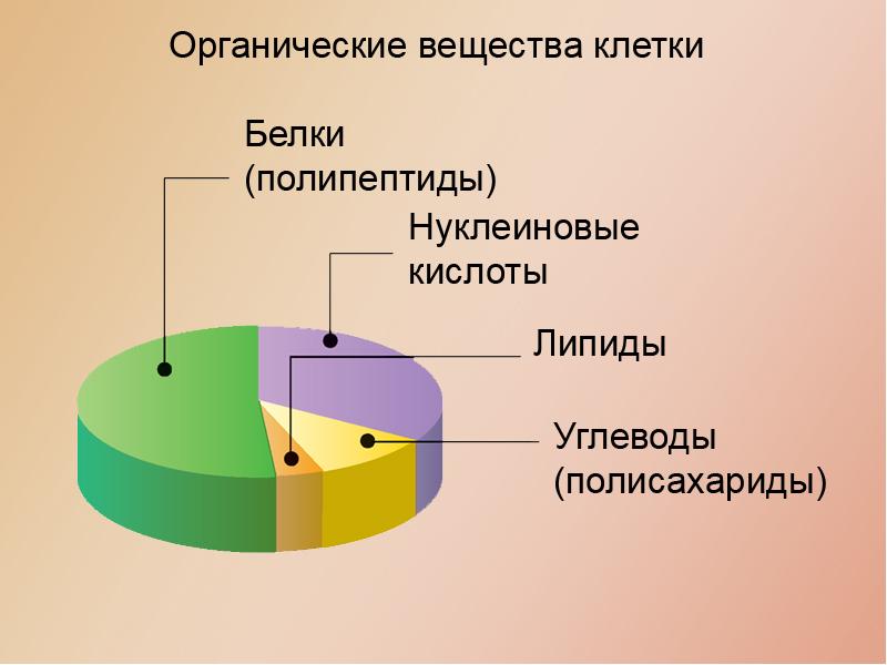 Органические вещества в организме человека проект