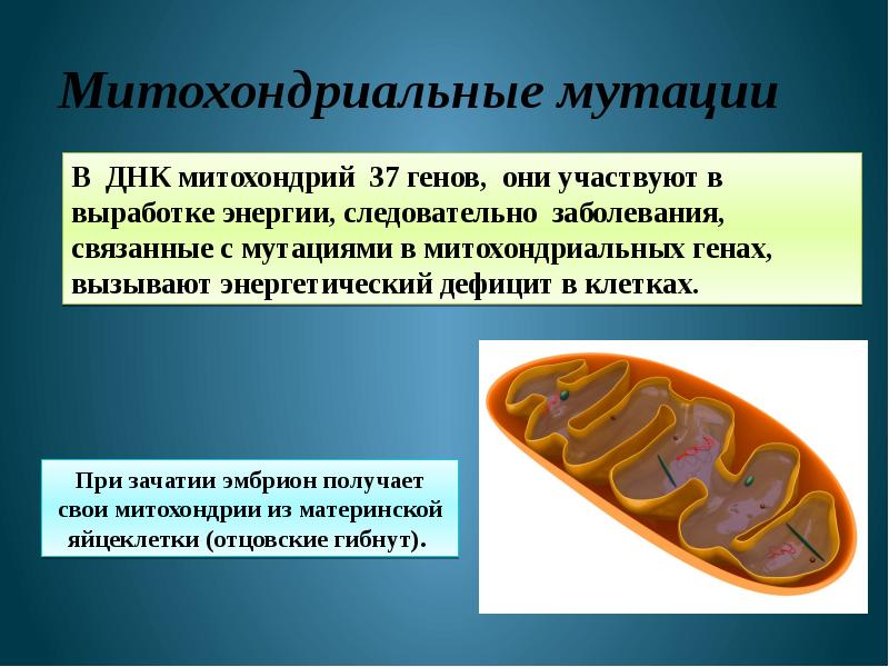 Наследственные заболевания презентация генетика