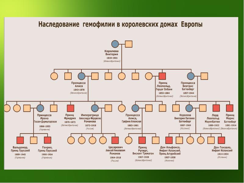 Гемофилия схема наследования