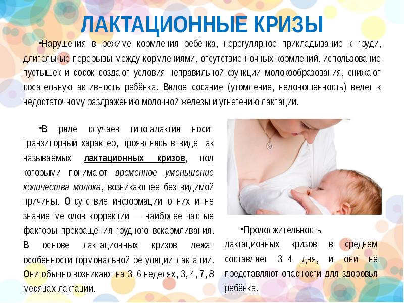 Можно ли при грудном вскармливании пить молоко. Грудь при вскармливании. Период кормления грудного ребенка. Как кормить новорожденного ребёнка на гв. Прикладывание новорожденного ребенка при кормлении.