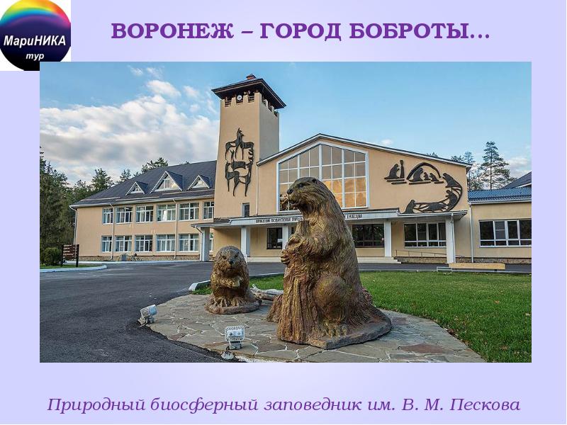 Воронежский биосферный заповедник картинки