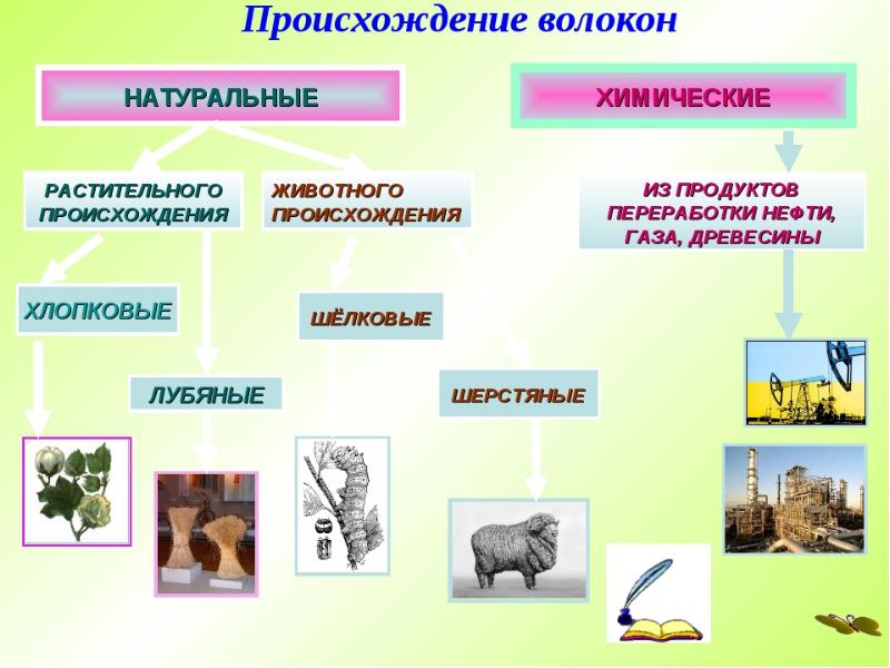 Растительные волокна презентация