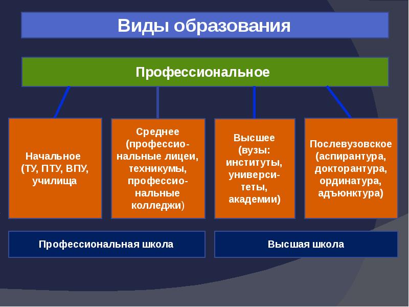 Какие есть высшие образования. Типы образования. Все виды образования. Виды высшего образования. Образование виды образования.