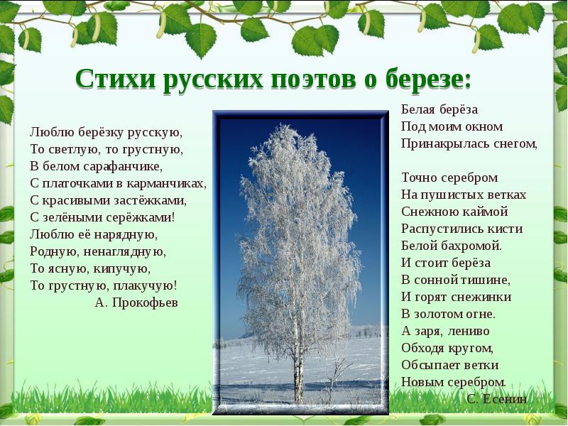 2 класс люблю природу русскую весна презентация