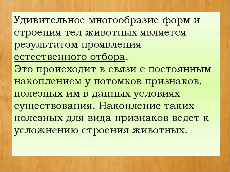 Презентация по биологии 7 класс усложнение строения животных многообразие видов