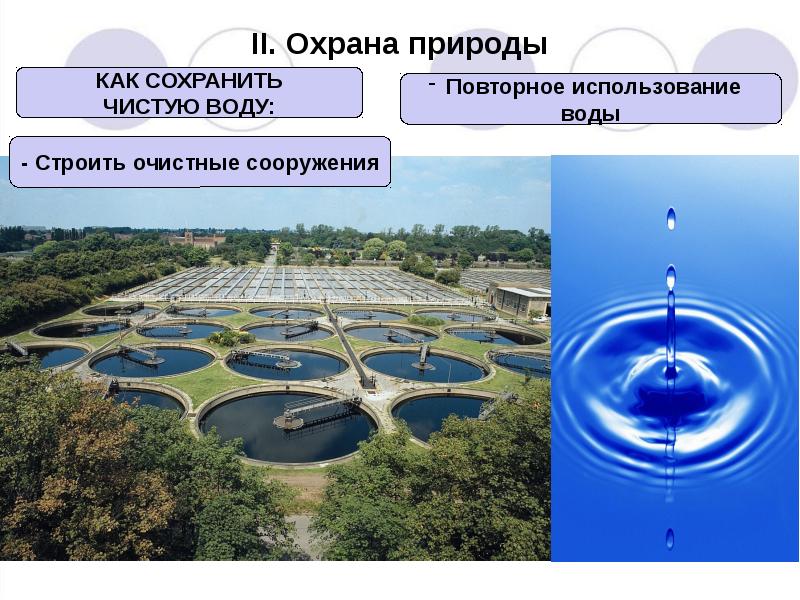 Охранять природу значит охранять жизнь презентация 7 класс обществознание конспект