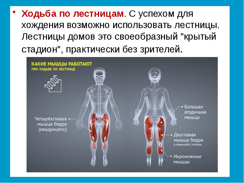 Проект двигательная активность