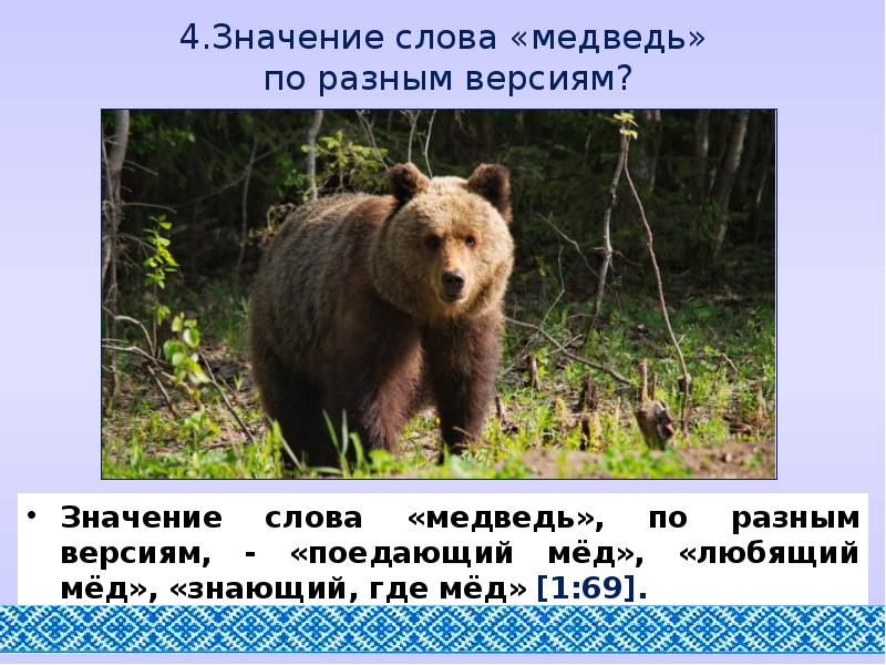 Медведь текст. Текст про медведя. Слово медведь. Лексическое значение слова медведь. Толкование слова медведь.