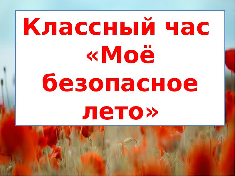 Безопасное лето презентация 9 класс