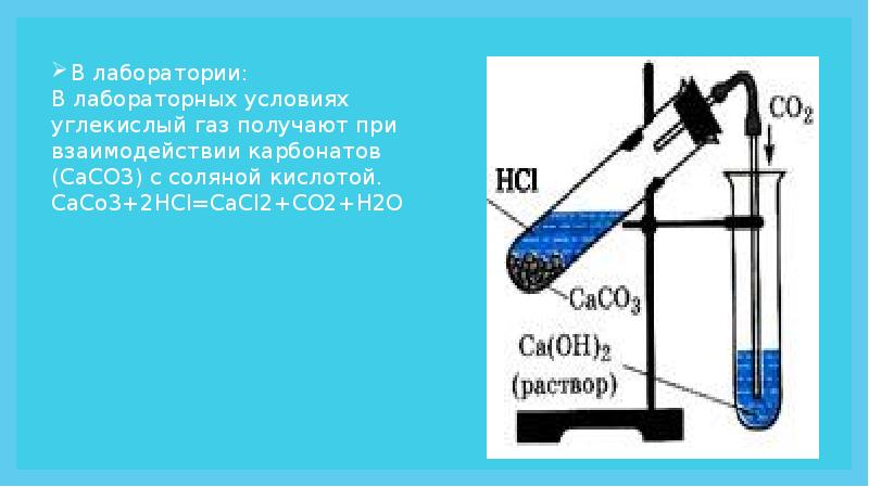 Проект по химии углекислый газ