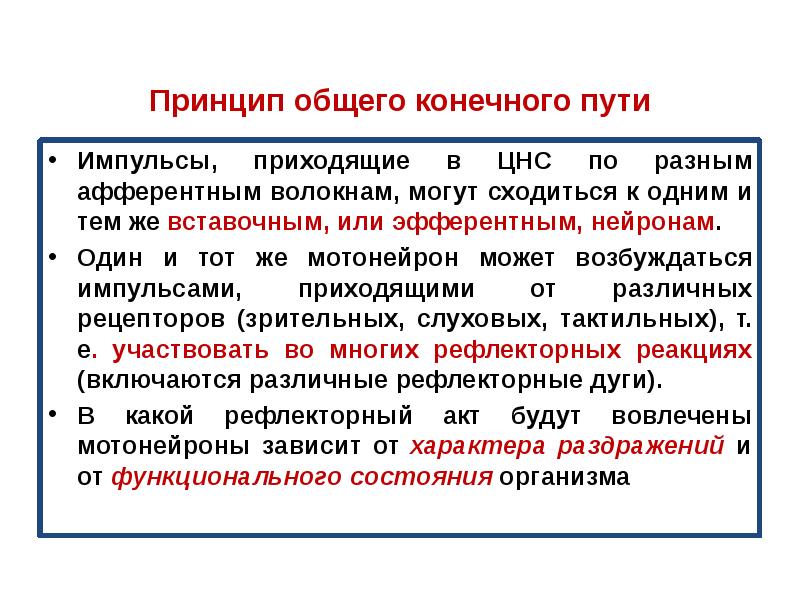 Принцип конечного пути. 2. Общие принципы организации нервной системы. Закон общего конечного пути. Виды конечного общего пути.