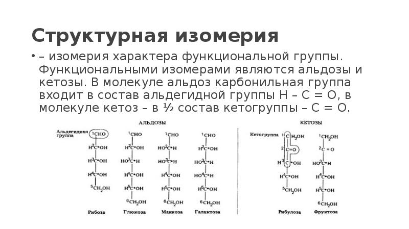 Изомеры положения функциональной группы примеры Функциональная изомерия